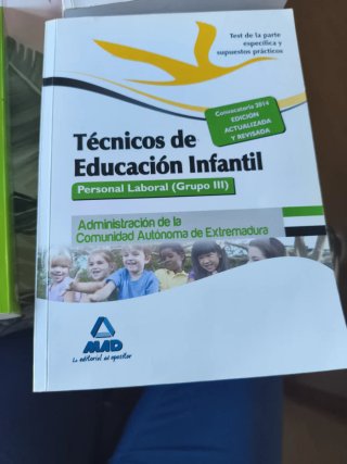 Técnicos en Educación Infantil. Personal labora...