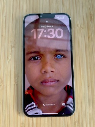 iPhone 13 Pro Max Argento