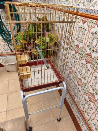 Jaula para Ninfas con Soporte y Funda