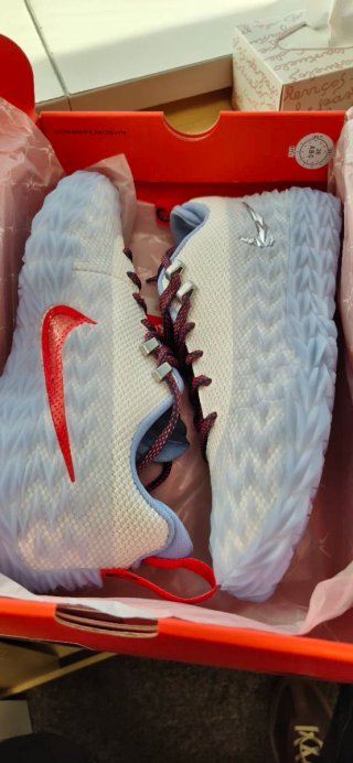 Zapatillas Nike ST Charge