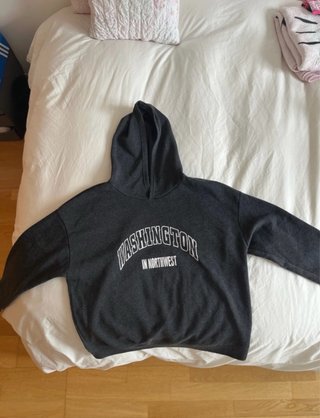 Sudadera Gris Shein Washington
