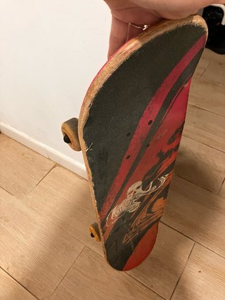 Skate Globe