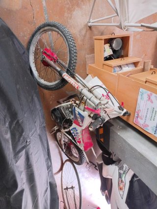 Beta mini trial