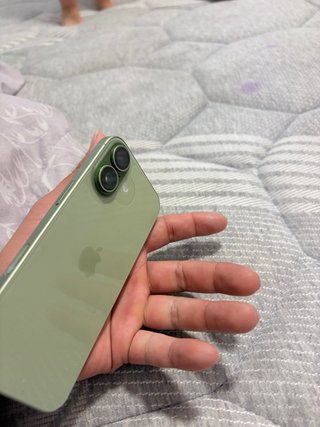 iPhone 17 256GB Verde