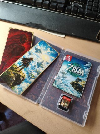 Manual Zelda: Tears of the Kingdom