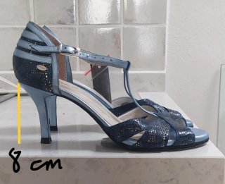 Zapatos de tango, salsa y latino D'Raso
