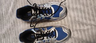 Zapatillas Asics Azules y Plateadas