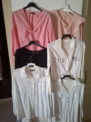 Lote de 5 camisas variadas