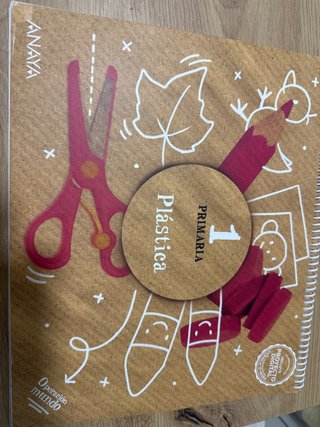 Plástica, 1 Primaria, Operación mundo