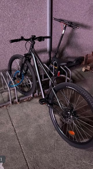 Bicicleta de Montaña Gris