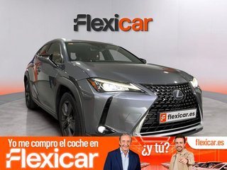 Lexus UX 2.0 250h Business