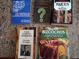 Lote de 5 Libros Variados