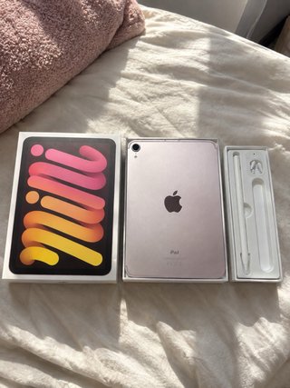 iPad Mini 6 256GB Wi-Fi + Cellular Rosa