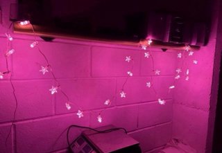 Luces de Navidad con forma de estrella