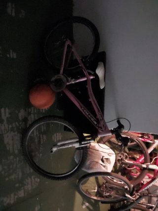 Bicicleta da bambina Coluer rosa
