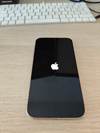 iPhone 13 Pro Max 128GB Gold(NO OFERTAS ABSURDAS)