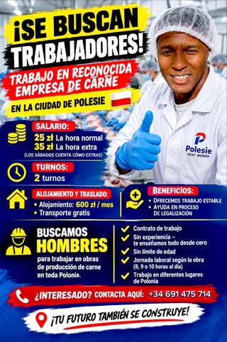 TRABAJO, HOSPEDAJE, TRANSPORTE  Y PERMISOS