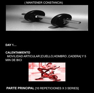 Rutinas de entrenamiento personalizadas.