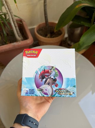 Display 36 Buste Pokémon Journey Together