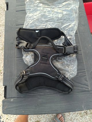 Arnés para Perro Talla XL