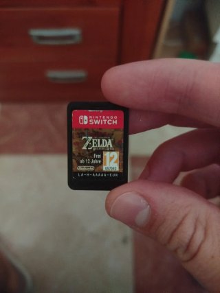 Zelda Breath of the Wild