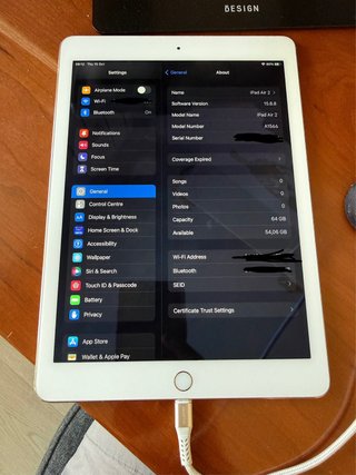 iPad Air 2 64GB Bianco Argento Batteria difettosa