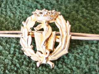 Antigua Insignia de Farmacia