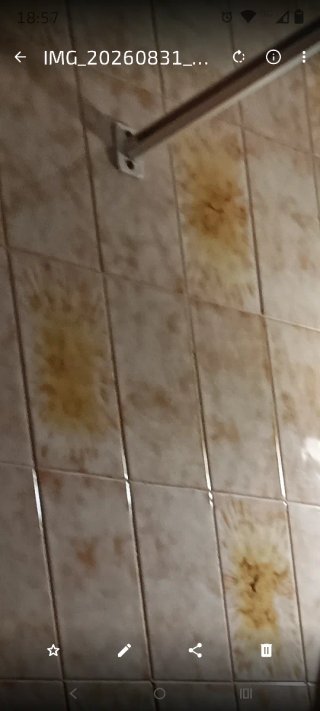 Azulejos de baño vintage años 70