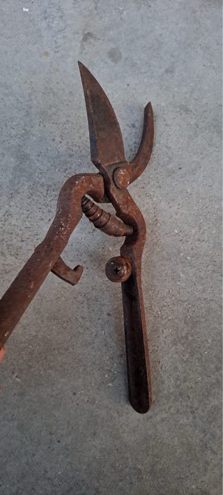Forbici da potatura manuali