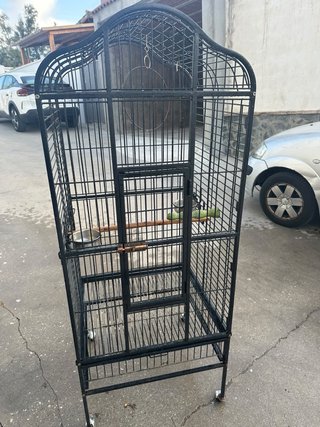 Jaula Grande para Loros con Ruedas