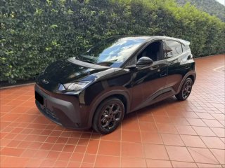 BYD Dolphin Surf