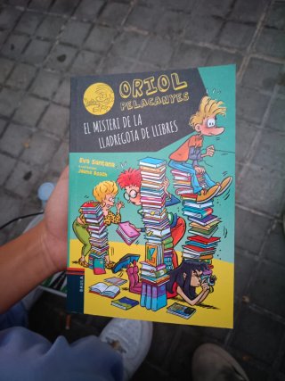 El misteri de la lladregota de llibres