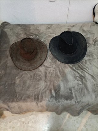 Set de 2 Sombreros Estilo Cowboy