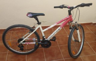 Bicicleta de Montaña Rockrider 5.1 (26)