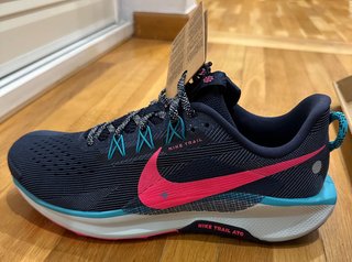 Zapatillas Nike Pegasus Trail 5