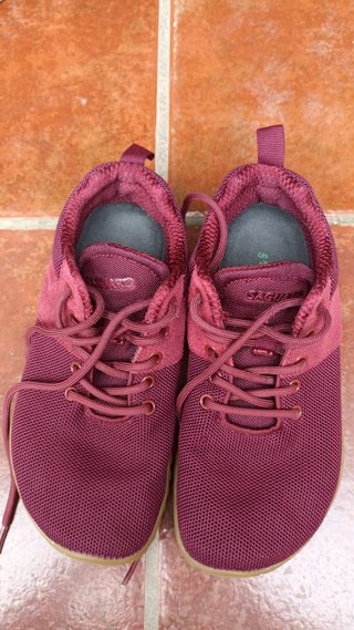 Zapatillas SAGUARO Talla 36