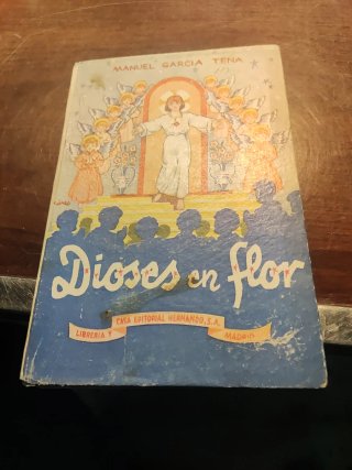 Libro escolar dioses en flor