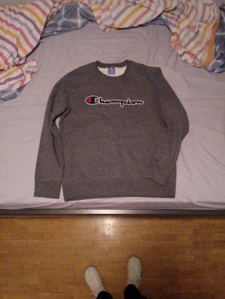 Sudadera Champion Gris