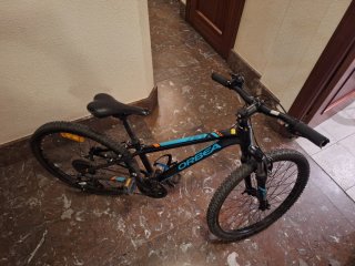 Bicicleta Orbea MX24