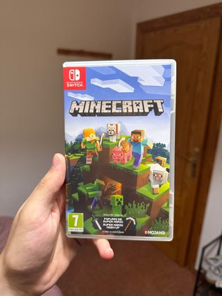 Minecraft per Nintendo Switch