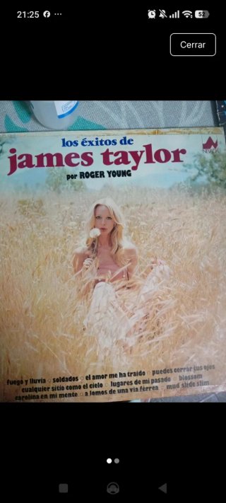 Vinilo Los Éxitos de James Taylor - Roger Young