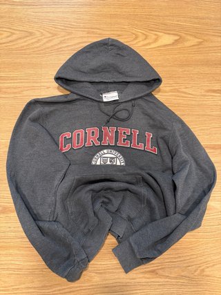 Champion Cornell University Hoodie Grey