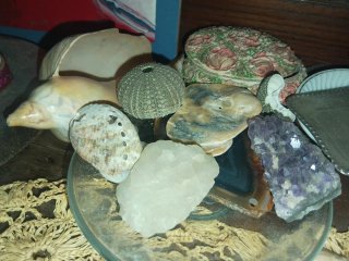 Colección de Moluscos y Piedras Decorativas