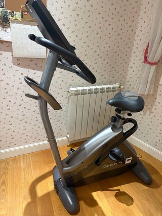 Bicicleta Estática BH Carbon Bike Dual H87