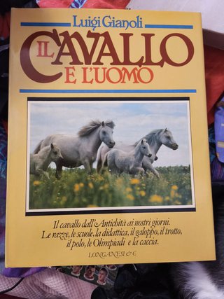 Il cavallo e l'uomo
