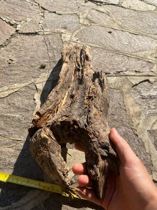 Legno decorativo per acquario o terrario