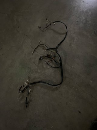 Cableado eléctrico Beta Ark