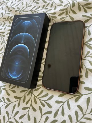 iPhone 12 Pro Max 256GB