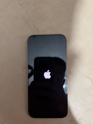 iPhone 16 Pro Max 256GB Oro