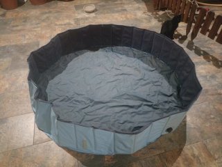 Piscina Plegable para Perros XL 180cm